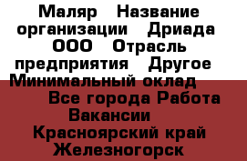 Маляр › Название организации ­ Дриада, ООО › Отрасль предприятия ­ Другое › Минимальный оклад ­ 18 000 - Все города Работа » Вакансии   . Красноярский край,Железногорск г.